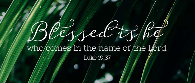 sunday_06_palmsunday_cyclec_ot_2_630x269