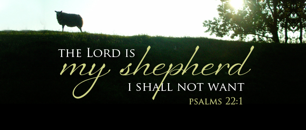 sunday_easter_4_cycle_a_3_630-269