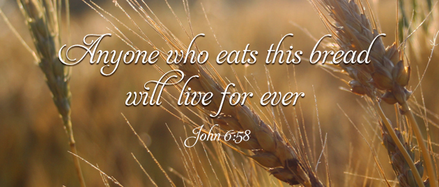 corpuschristi_cyclea_ot_1_630x269
